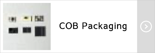 COB Packaging